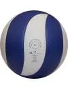 Мяч волейбольный GALA Mistral 10 BV5661S фото 2