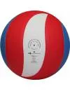 Мяч волейбольный GALA Pro Line 10 (BV5121S) фото 2