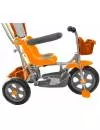 Детский велосипед Galaxy Лучик 3-х колесный orange фото 2