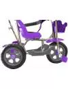 Детский велосипед Galaxy Лучик 3-х колесный purple фото 5