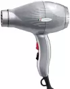 Фен Gamma Piu Ion Ceramic S (серебристый) icon