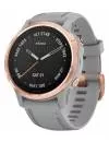 Умные часы Garmin Fenix 6S Sapphire 42mm (010-02159-21) icon