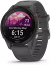 Умные часы Garmin Forerunner 255 46 мм (сланцево-серый/черный) icon