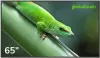 Информационная панель Geckotouch 65DF icon