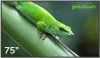 Информационная панель Geckotouch 75DF icon