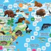 Настольная игра Геодом Животный мир Земли 4607177452845 icon 3