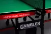Теннисный стол Gambler Dragon GTS-8 (зеленый) icon 7