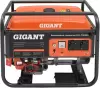 Бензиновый генератор Gigant GGL-7000ES фото 2
