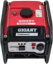 Бензиновый генератор Gigant Professional GPIGL-3000O фото 9