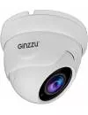 CCTV-камера Ginzzu HAD-5033A  фото 4