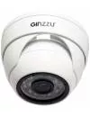 IP-камера Ginzzu HID-2301S icon