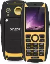 Мобильный телефон Ginzzu R41D Black/Orange icon