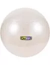 Мяч гимнастический Go Fit GF-65BALL icon