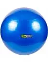 Мяч гимнастический Go Fit GF-75BALL icon