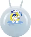 Гимнастический мяч Gold Cup 45BL голубой с рисунками icon
