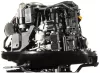 Лодочный мотор Golfstream (Parsun) F100FEL-T-EFI фото 7
