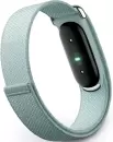 Фитнес-браслет Google Fitbit Air (туманный) фото 3