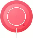 Умная колонка Google Home Speaker (ягода) фото 2