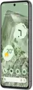 Смартфон Google Pixel 8 8GB/128GB (лесной орех) фото 2