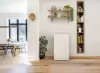 Однокамерный холодильник Gorenje RB39EPW4 icon 5