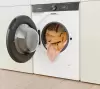 Стиральная машина Gorenje WG8X4AT4 фото 7