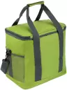 Термосумка Green Glade T1062 20л icon