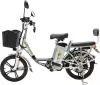 Электровелосипед GreenCamel Транк 18 V8 (R18 250Вт 60В 10Ач) icon