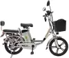 Электровелосипед GreenCamel Транк 18 V8 DD R18 250W 60v 20Ah (гидравлика) icon