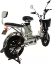 Электровелосипед GreenCamel Транк Монстр 20Ah фото 3