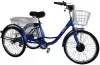 Электровелосипед GreenCamel Трайк-24 V2 icon