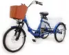 Электровелосипед GreenCamel Trike-20 R20 (500W 48V 15Ah, синий) icon