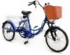 Электровелосипед GreenCamel Trike-20 R20 (500W 48V 15Ah, синий) фото 2
