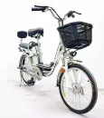 Электровелосипед GreenCamel Trunk-2 R20 (350W 48V 10Ah) Alum 2-х подвес фото 7