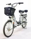 Электровелосипед GreenCamel Trunk R20 (250W 48V 10Ah) Alum фото 3
