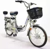 Электровелосипед GreenCamel Trunk R20 (250W 48V 10Ah) Alum фото 4
