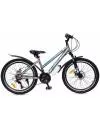 Велосипед Greenway Colibri-H 24 р.14 2021 (серый/синий) фото