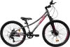 Велосипед Greenway Cruiser 26 (2025) icon 3