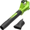 Воздуходувка Greenworks G24BIII 2409607 (без АКБ) icon 4