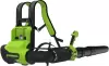 Воздуходувка Greenworks GD40BPG2K4 2408107UB (с 1-им АКБ) icon 2