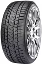 Зимняя шина Gripmax SureGrip Pro Winter 205/55R17 95V icon