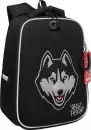Школьный рюкзак Grizzly RAw-595-10 (черный/серый) icon