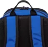 Школьный рюкзак Grizzly RB-351-8 (синий) фото 6