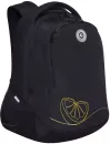 Школьный рюкзак Grizzly RD-340-2 (черный) icon