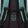 Школьный рюкзак Grizzly RD-342-1 (черный/мятный) icon 10
