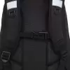 Школьный рюкзак Grizzly RG-568-4 (черный) icon 4