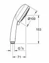 Душевая лейка GROHE New Tempesta Cosmopolitan 100 (27572001) icon 2