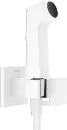 Смеситель Hansgrohe Bidette 1jet E 29233700 icon