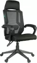 Офисное кресло Helmi Ergo HL-E32 / 284606 (черный) icon