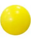 Мяч гимнастический HouseFit 89913 фото 2