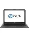 Ноутбук HP 255 G6 (5PQ41EA) icon